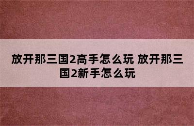 放开那三国2高手怎么玩 放开那三国2新手怎么玩